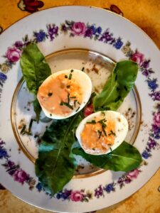 oeuf dur harissa oeuf dur harissa
